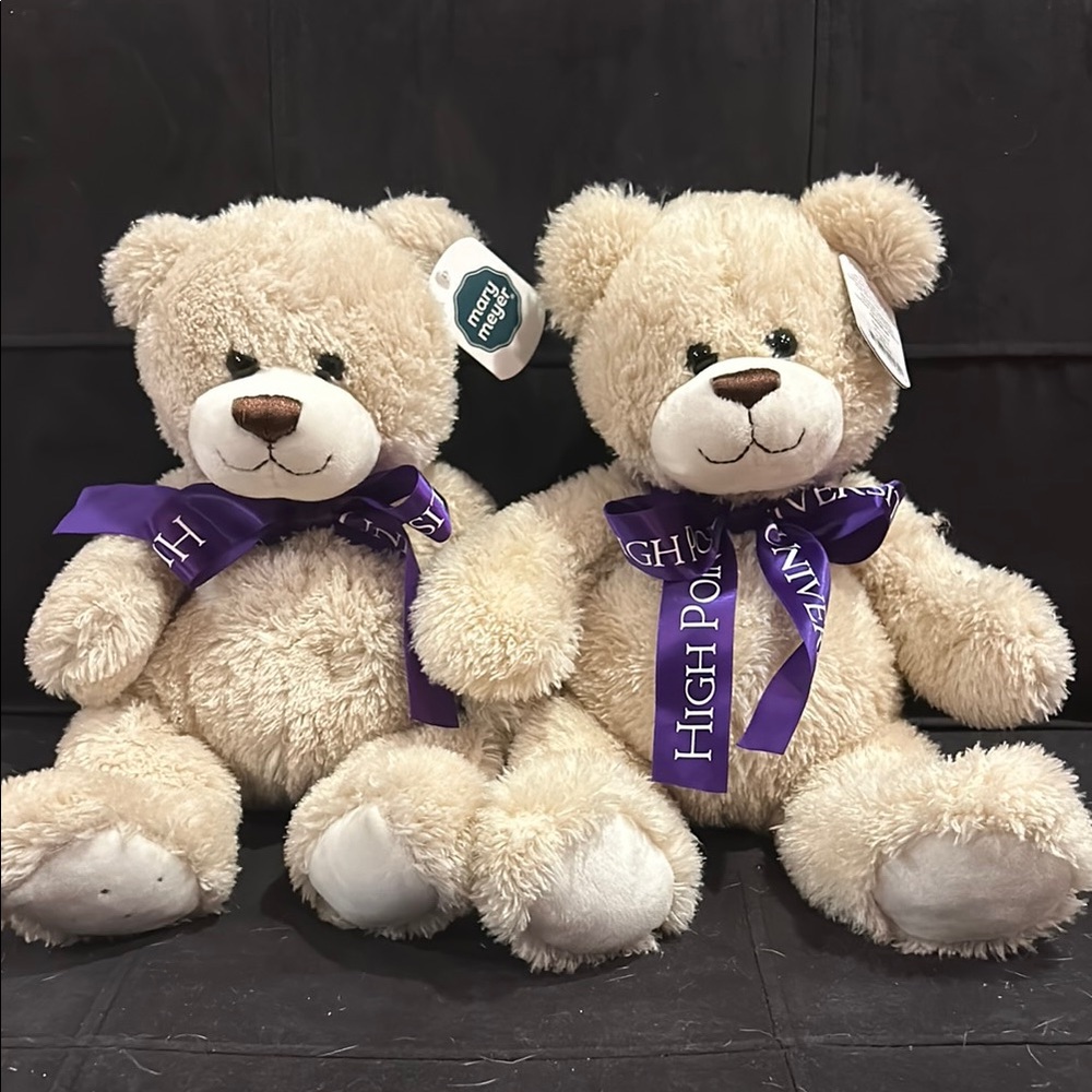 High Point University Teddy Bears with Purple Bows